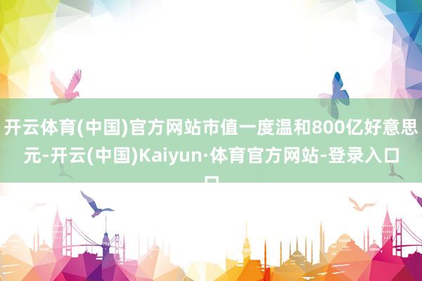 开云体育(中国)官方网站市值一度温和800亿好意思元-开云(中国)Kaiyun·体育官方网站-登录入口
