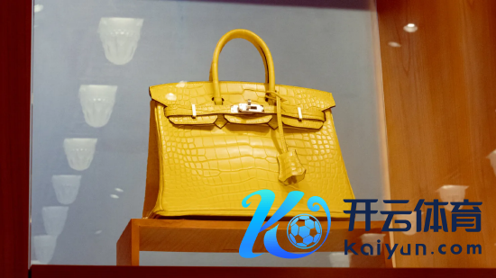 在德国柏林卡迪威（KaDeWe）百货商店的橱窗里展示着一个爱马仕柏金（Birkin）包。
