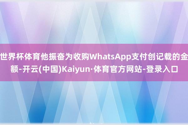 世界杯体育他振奋为收购WhatsApp支付创记载的金额-开云(中国)Kaiyun·体育官方网站-登录入口