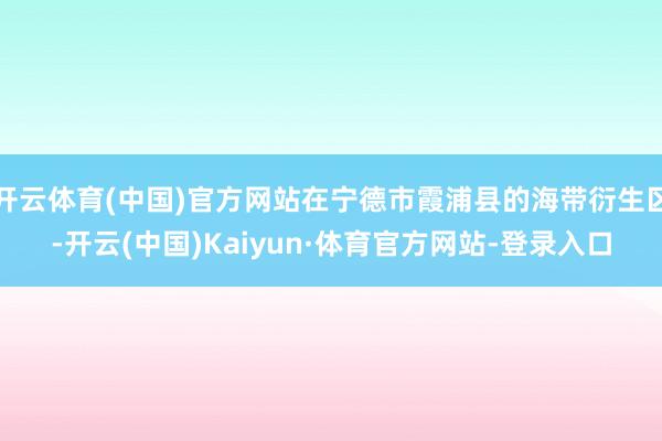 开云体育(中国)官方网站在宁德市霞浦县的海带衍生区-开云(中国)Kaiyun·体育官方网站-登录入口