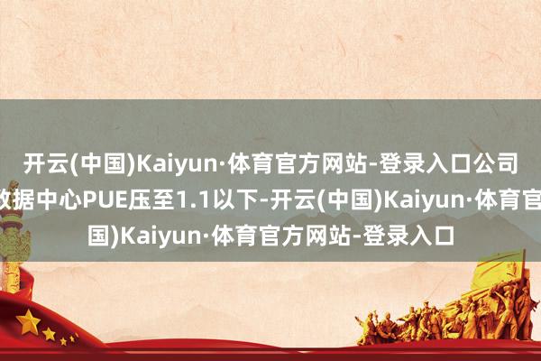 开云(中国)Kaiyun·体育官方网站-登录入口公司液冷时刻将阿里数据中心PUE压至1.1以下-开云(中国)Kaiyun·体育官方网站-登录入口